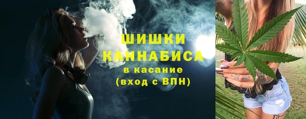 сатива Инсар