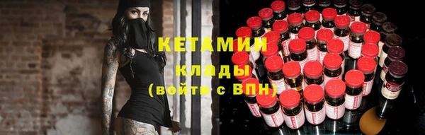 сатива Инсар