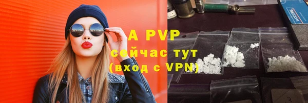 сатива Инсар