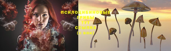 сатива Инсар