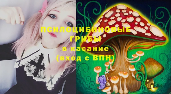 сатива Инсар