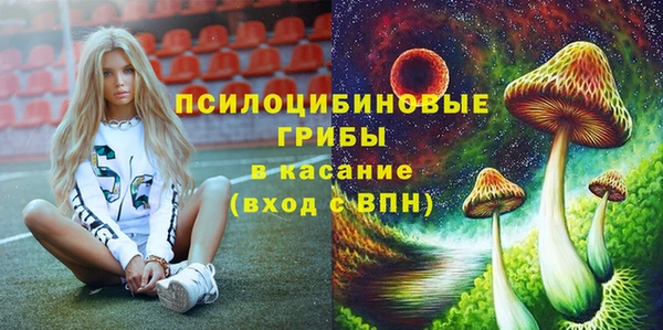 сатива Инсар
