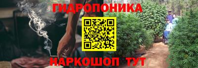 индика Гагарин