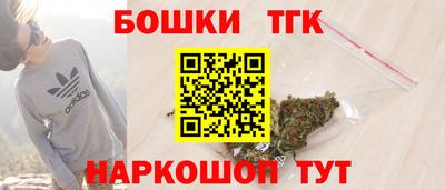 индика Гагарин
