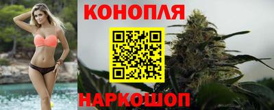 прущие грибы Гай