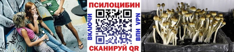 Галлюциногенные грибы MAGIC MUSHROOMS  Кандалакша 
