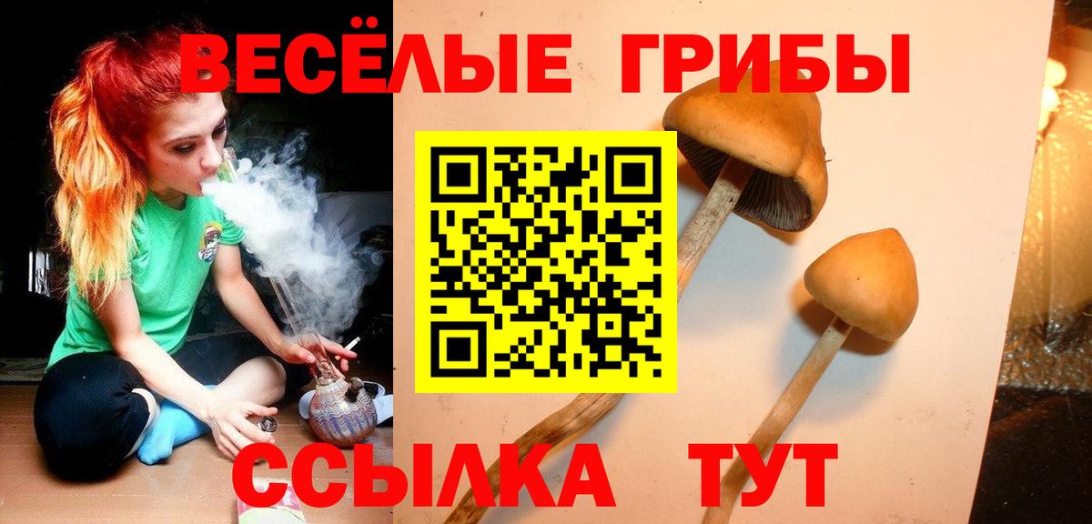 Кандалакша  дарнет шоп  Вход с VPN  Галлюциногенные грибы ЛСД 