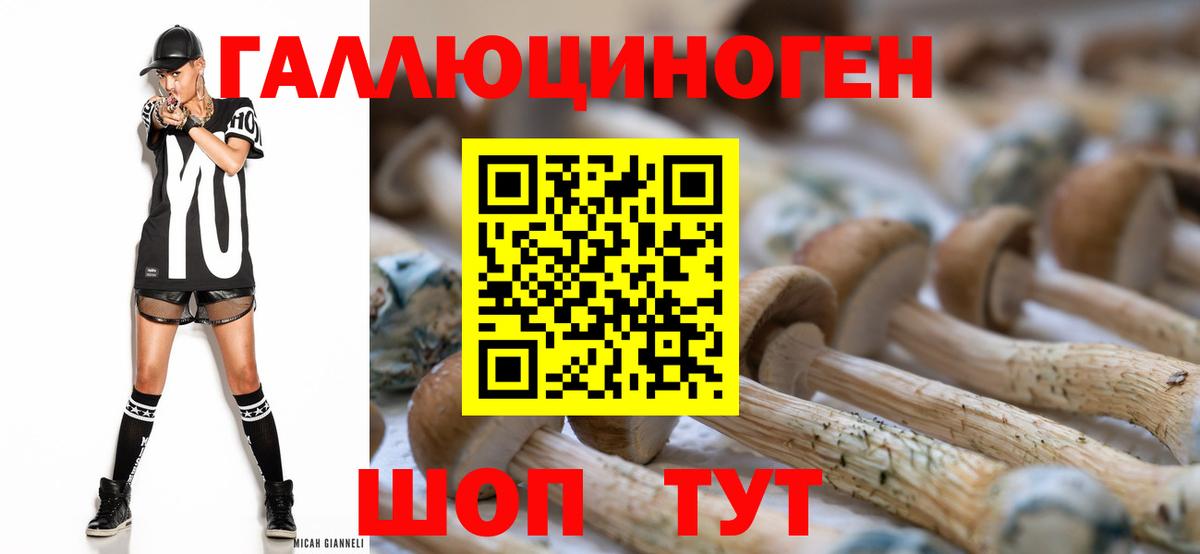 Галлюциногенные грибы мухоморы Кандалакша